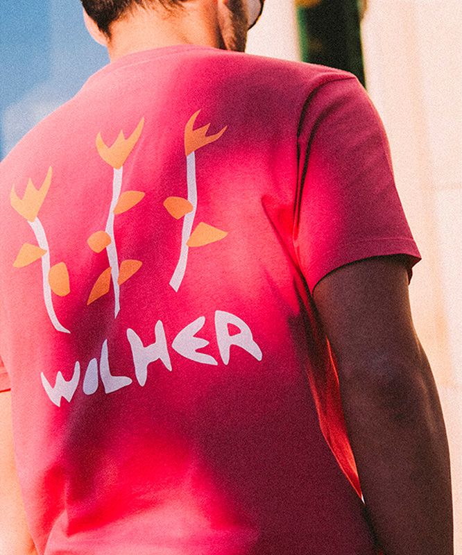 Camiseta WOLHER ROSE