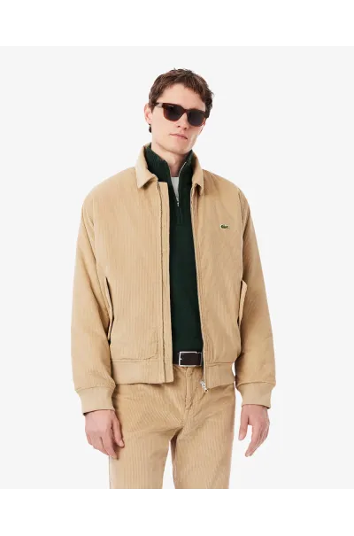 Cazadora LACOSTE Bomber de Pana Acolchada