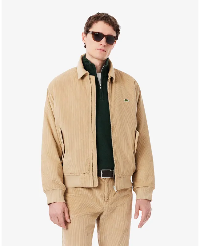 Cazadora LACOSTE Bomber de Pana Acolchada