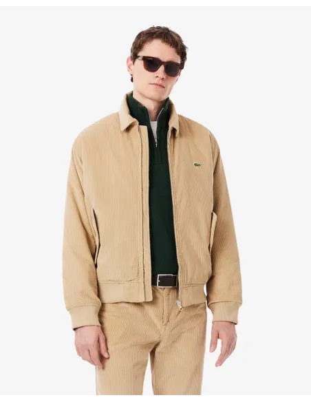 Cazadora LACOSTE Bomber de Pana Acolchada