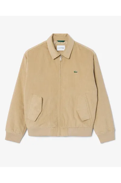 Cazadora LACOSTE Bomber de Pana Acolchada 2