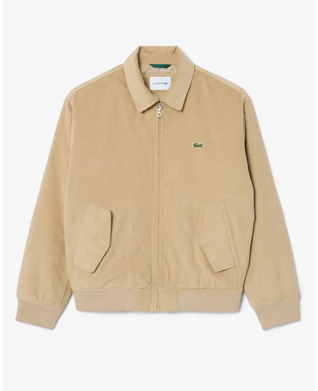 Cazadora LACOSTE Bomber de Pana Acolchada