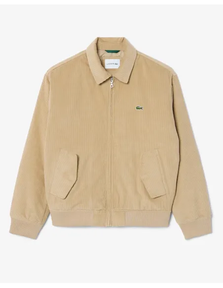 Cazadora LACOSTE Bomber de Pana Acolchada