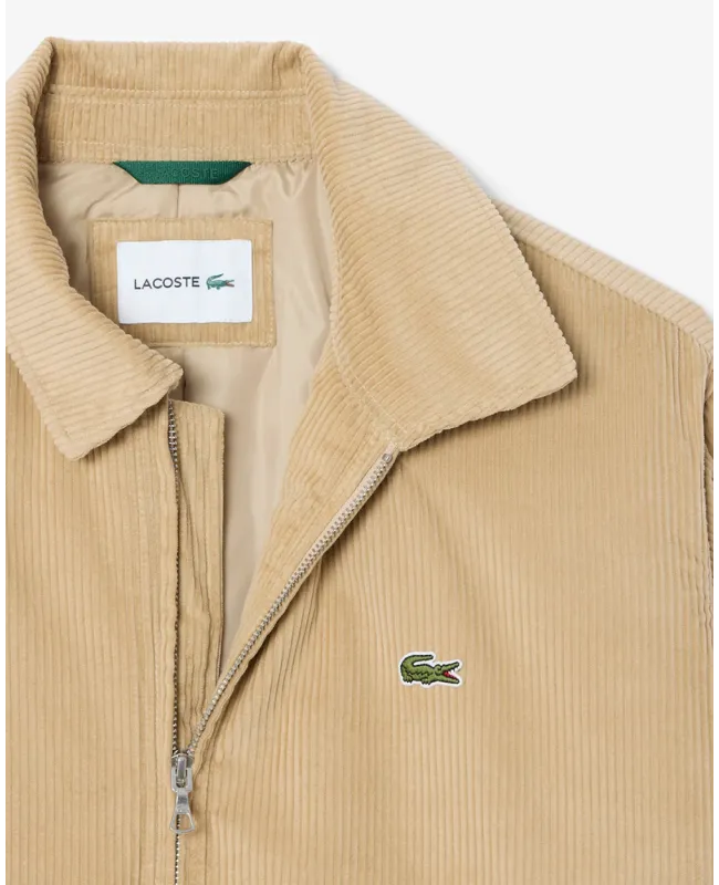 Cazadora LACOSTE Bomber de Pana Acolchada