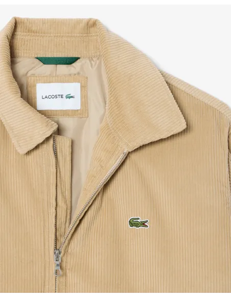 Cazadora LACOSTE Bomber de Pana Acolchada