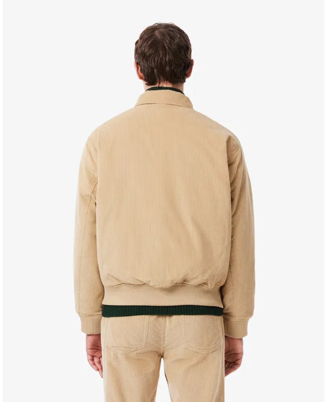 Cazadora LACOSTE Bomber de Pana Acolchada