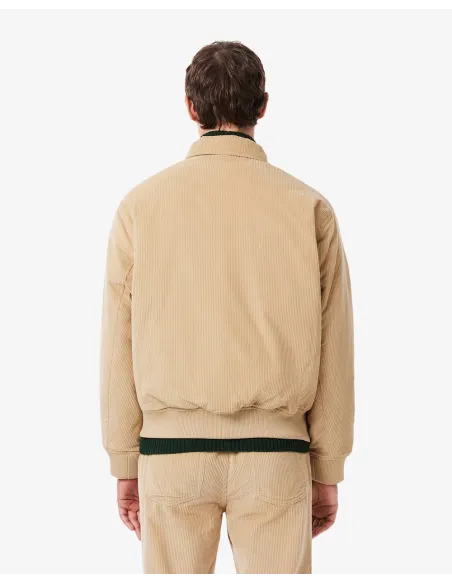 Cazadora LACOSTE Bomber de Pana Acolchada